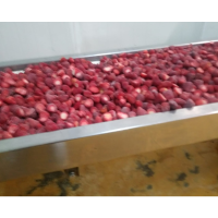 Product sample of high quality frozen strawberry.