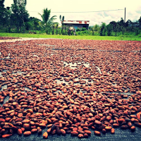 Inversiones Qumara Perú S.A.C