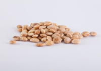 Roasted Sacha Inchi Nuts, 20kg, Agritrade