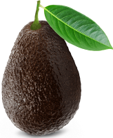Organic Fresh Hass Avocado 4k - 10kg