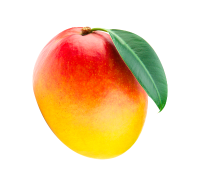 Organic Fresh Mango 4kg - 6kg
