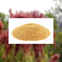 Andean Grains - Kiwicha