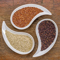 Type of quinoa