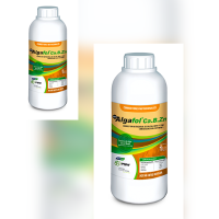 Algafol Ca B Zn Nutritional Corrector