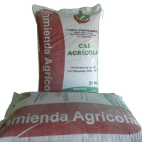 White Powder Agricultural Lime in 25 Kilos Bag 