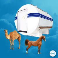 Veterinary Hyperbaric Chamber for Equines