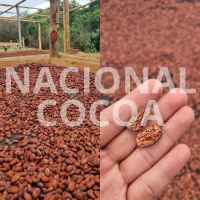 Blend National cocoa beans