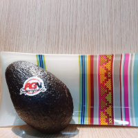 Fresh Avocado 4kg and 10kg