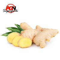 Fresh Ginger 14kg