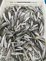 Silver Smelt