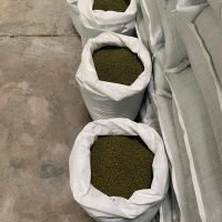 Loctao Bean - Mung Bean