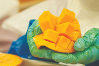 MANGO IN PLANT