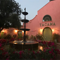 The Vineyard at Night