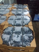 High Quality Blueberries from Peru