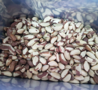 Brazil nuts
