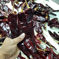 Paprika Premium