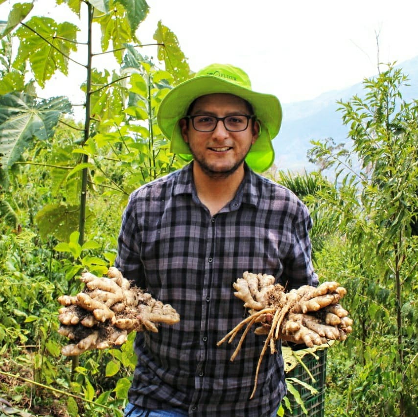 JOSÉ FLORES PALOMINO