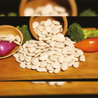 Baby Lima Beans (Phaseolus Lunatus Lt)