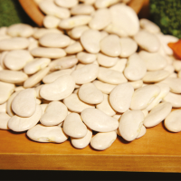 Baby Lima Beans (Phaseolus Lunatus Lt)
