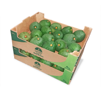 Fresh Avocado