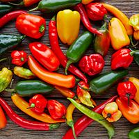 Peppers varieties