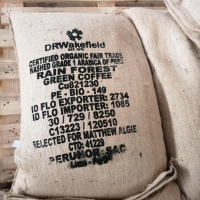 Specialty Green Coffee - Coipa
