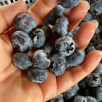Blueberries