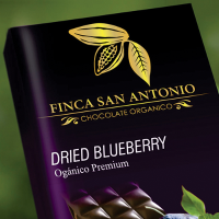 Dehydrated Blueberry Chocolate 55% Cocoa