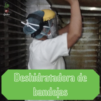 dehydrator processing area