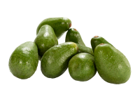 Organic Avocado