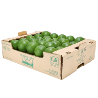 Organic Avocado