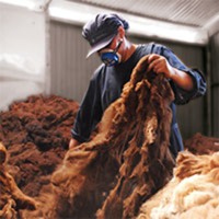 Michell y Cía. S.A. – Marca Sol Alpaca