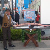 Tourism Crafts and Culture Artinchik