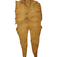 Fish Leather