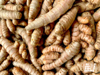 Turmeric, Curcumin