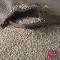 Amaranth or Kiwicha