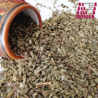 Oregano