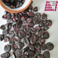 Purple Corn