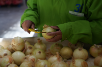 Quality control of onions