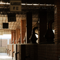 BODEGAS VIÑAS DE ORO S.A.C. 