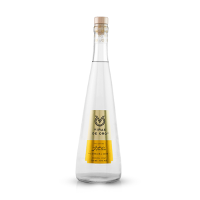 Pisco Italia