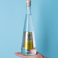 Pisco Italia