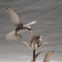 Hummingbird and Rose, Pen holder in Silver 950