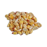 Field Corn