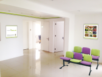 Our Offices