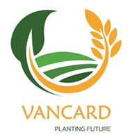 VANCARD PERU SOCIEDAD ANÓNIMA CERRADA