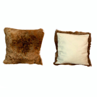 Cushion
