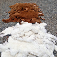 WOOL ULTRA PREMIUM S.A.C.