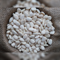 Baby Lima Beans