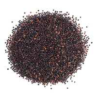 Organic Black Quinoa